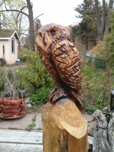 Chainsaw owl, 2014