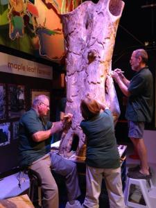 Carving the Maple Leaf Forever Tree