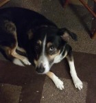 Grendel in the flesh