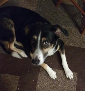 Grendel in the flesh